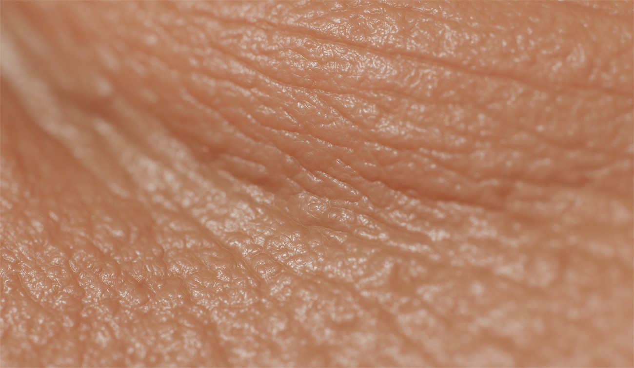 Download skin micro displacement map 